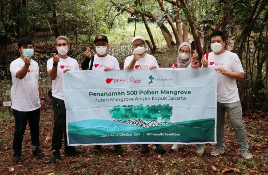 CSR Privy berupa penanaman 500 pohon mangrove